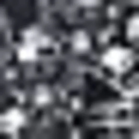 Belle by Kim Gravel Black and White Graphic Top - Picture 3 of 7